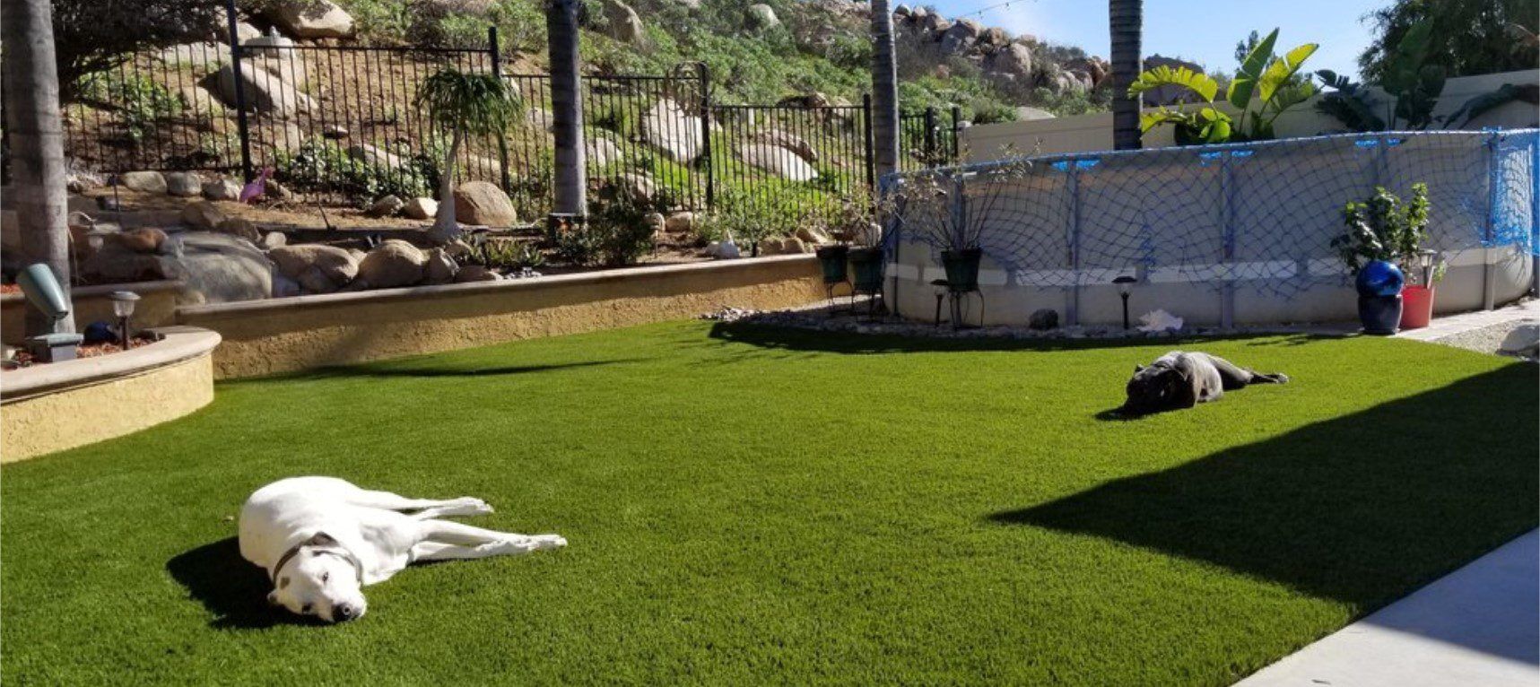 Pet Artificial Grass Systems, Pasadena Artificial Grass & Pavers