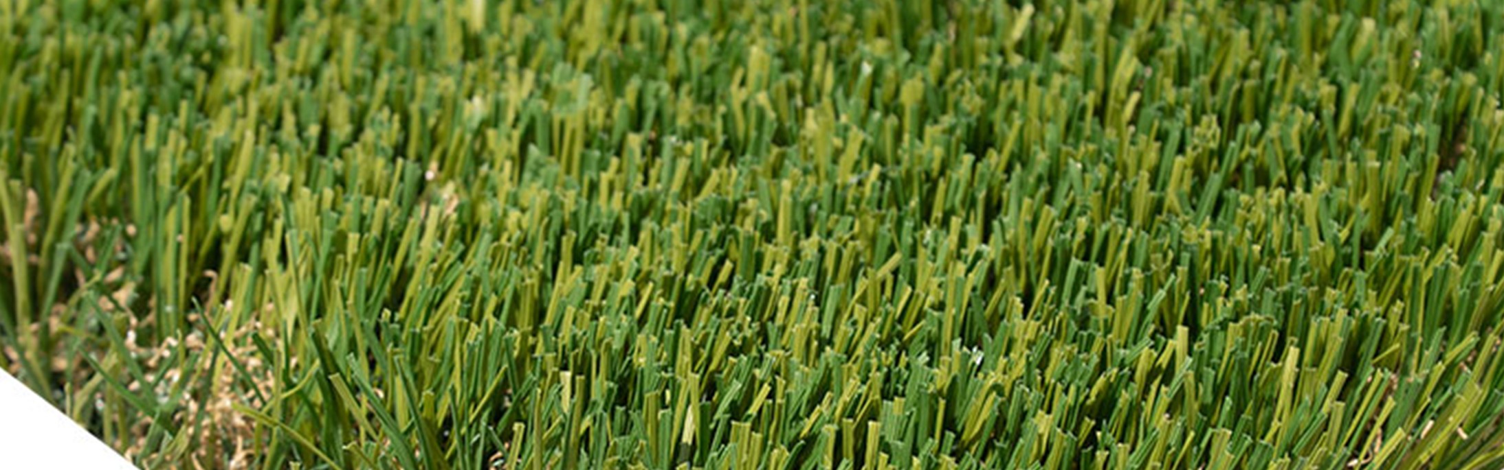 Oakmont Supreme Artificial Grass, Pasadena Artificial Grass